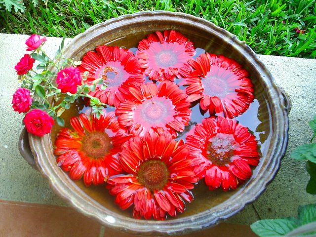 Om Shanti Shakti